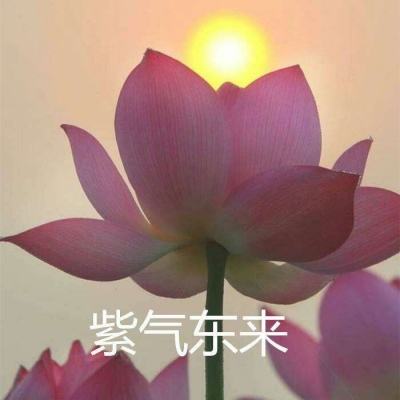 御剑破天官方正式版下载